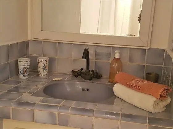 Comfort Tek Büyük Yataklı Oda, Bahçe Manzaralı (Tortue)