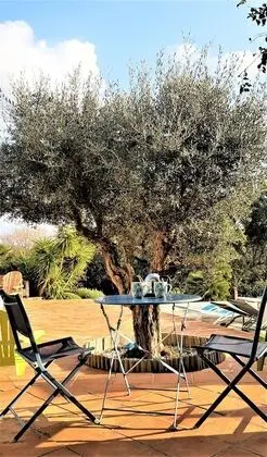 Comfort Tek Büyük Yataklı Oda, Havuz Manzaralı (Dauphin)