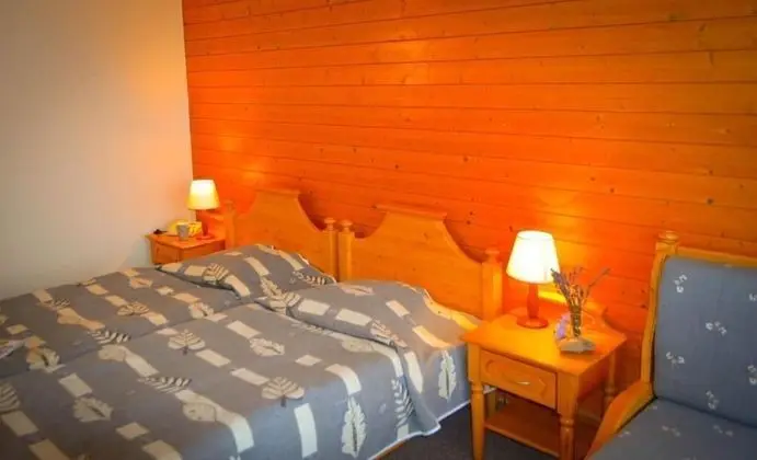 Basic Tek Büyük veya İki Ayrı Yataklı Oda, Dağ Manzaralı