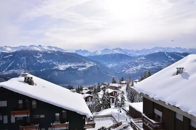 Basic Tek Büyük veya İki Ayrı Yataklı Oda, Dağ Manzaralı