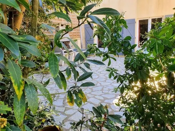 Comfort Kır Evi