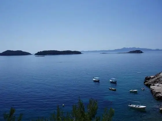 Apart Daire (Desa - 10 m from the beach - A2-Velik)