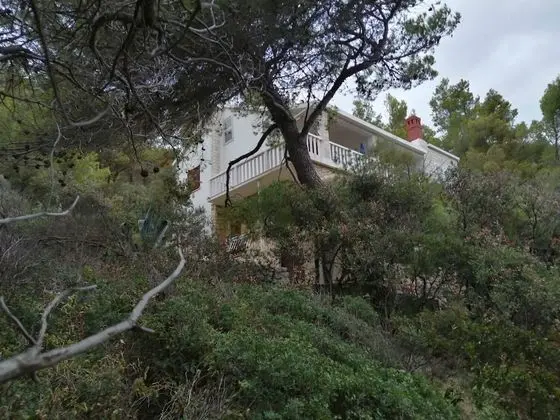 Apart Daire (Desa - 10 m from the beach - A2-Velik)