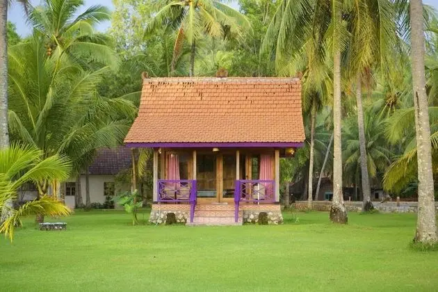 Comfort Bungalov