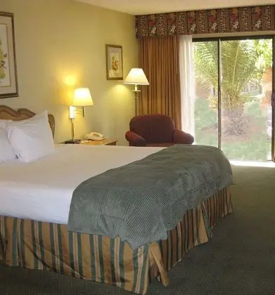 1 Çift ​​kişilik Yatak King Size Bed