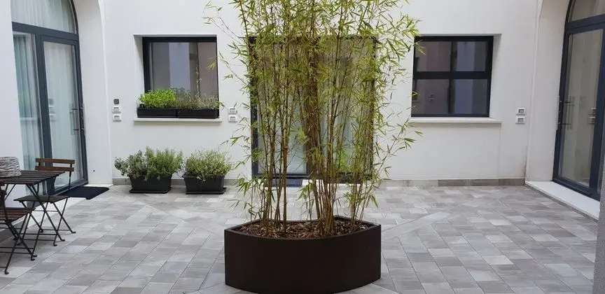 Design Çatı Katı (Loft)