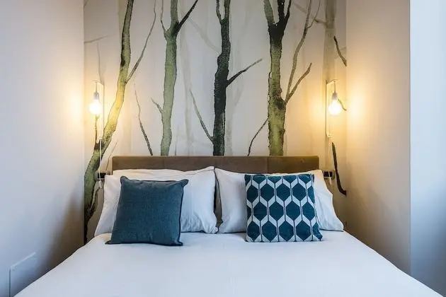 Tek Büyük Yataklı Oda, Banyolu/Duşlu (25 a)