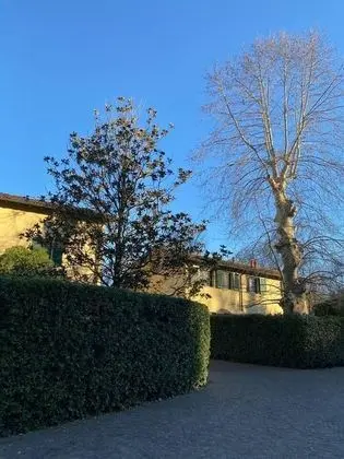 Ev, 1 En Büyük (King) Boy Yatak ve Çekyat