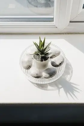 Design Süit