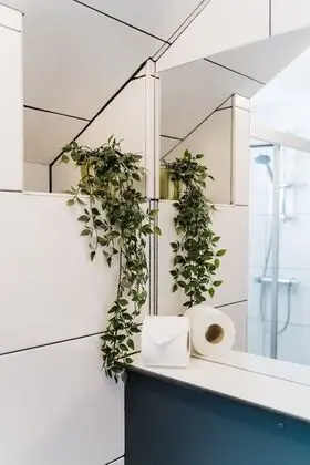 Design Süit