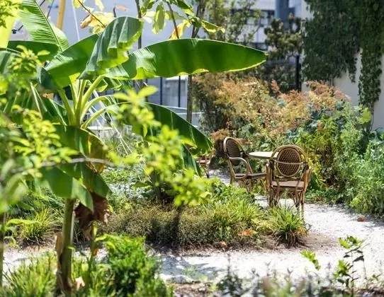 Deluxe Tek Büyük veya İki Ayrı Yataklı Oda, Sigara İçilmez