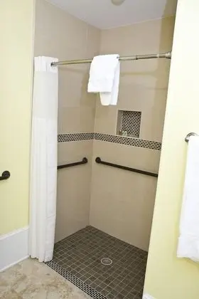 Deluxe Süit, 1 Yatak Odası, Engellilere Uygun, Mutfak