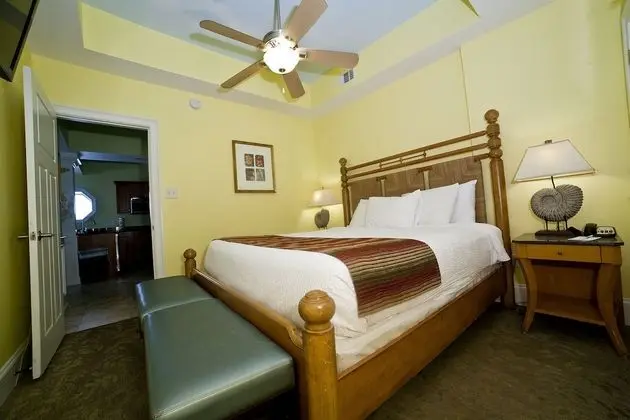 Deluxe Süit, 1 Yatak Odası, Sigara İçilmez, Küçük Mutfak