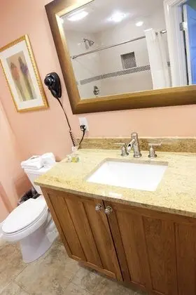 Deluxe Süit, 1 Yatak Odası, Sigara İçilmez, Küçük Mutfak