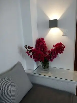 Superior Tek Büyük veya İki Ayrı Yataklı Oda, Deniz Manzaralı