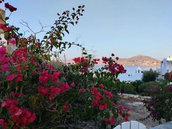 Superior Tek Büyük veya İki Ayrı Yataklı Oda, Deniz Manzaralı