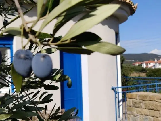 Villa, 3 Yatak Odası, Balkon