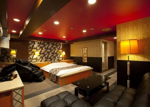 Standard Tek Büyük Yataklı Oda (After 8pm Check-in & one night only)
