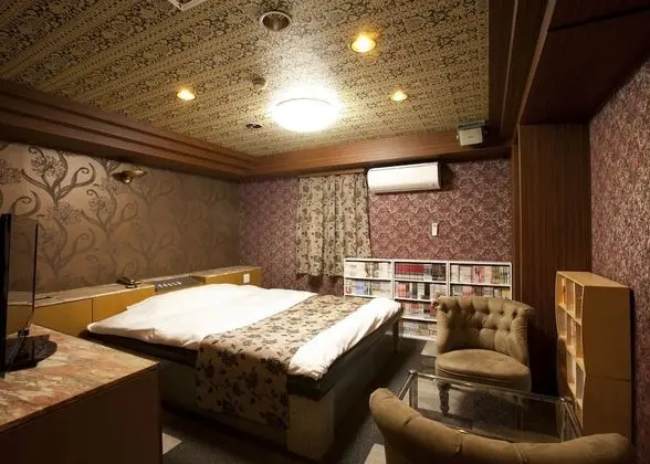Standard Tek Büyük Yataklı Oda, Sigara İçilebilir (Love Hotel)