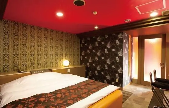 Standard Tek Büyük Yataklı Oda, Sigara İçilebilir (Love Hotel)