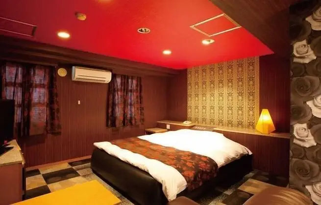 Standard Tek Büyük Yataklı Oda, Sigara İçilebilir (Love Hotel)