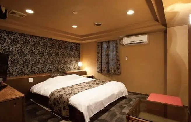 Standard Tek Büyük Yataklı Oda, Sigara İçilebilir (Love Hotel)