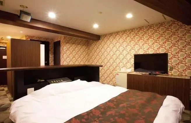 Standard Tek Büyük Yataklı Oda, Sigara İçilebilir (Love Hotel)