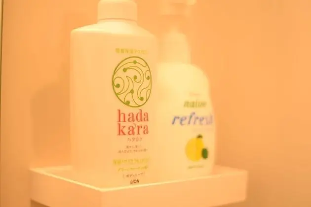 Ortak Ranzalı Oda, Karma Ranzalı Oda