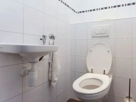 Ev