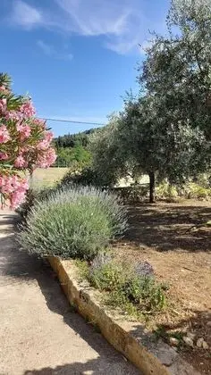 Ev, 3 Yatak Odası, Teras