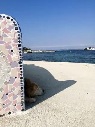 Ev, 3 Yatak Odası, Teras