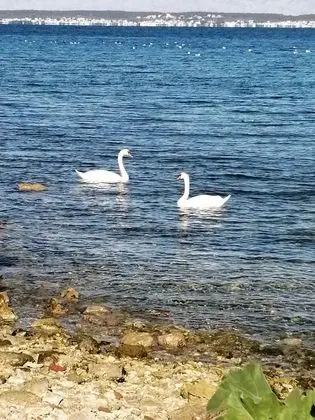 Ev, 3 Yatak Odası, Teras