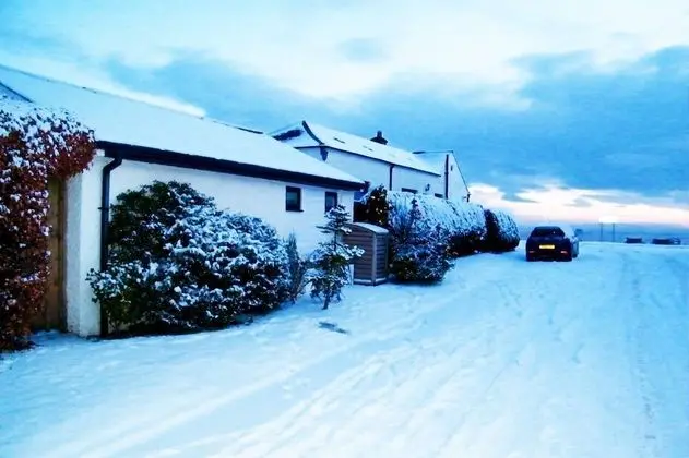 Bungalov, 1 Yatak Odası, Mikrodalga