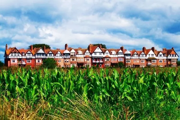 Bungalov, 1 Yatak Odası, Mikrodalga