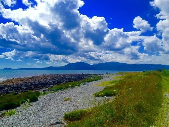 Bungalov, 1 Yatak Odası, Mikrodalga