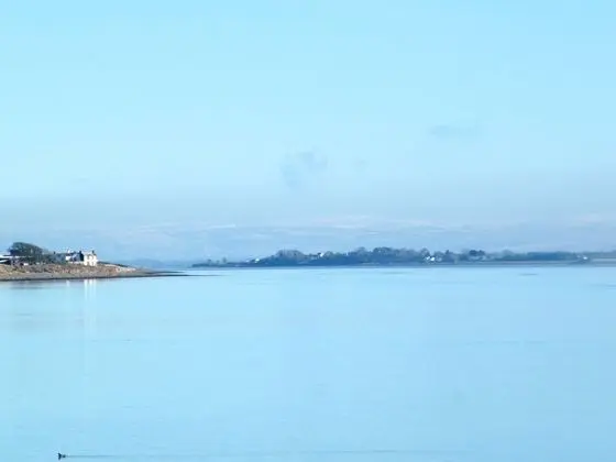 Bungalov, 1 Yatak Odası, Mikrodalga
