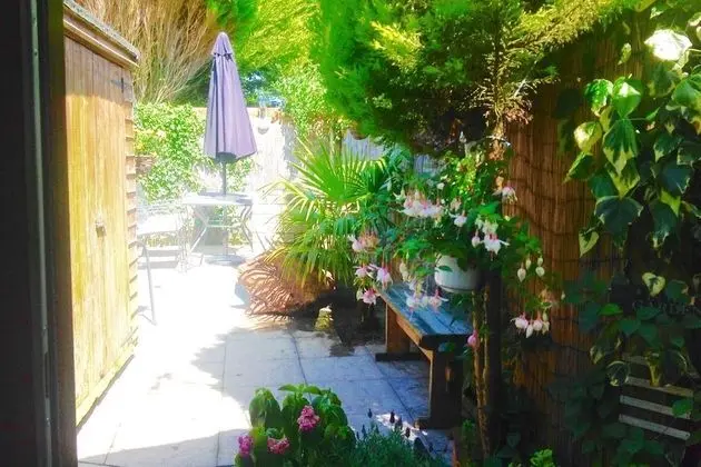 Bungalov, 1 Yatak Odası, Mikrodalga