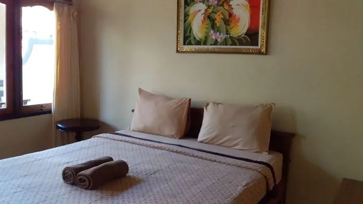 Tek Büyük Yataklı Oda (With Fan)