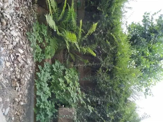 Economy Tek Büyük Yataklı Oda