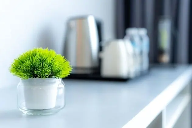 Superior İki Ayrı Yataklı Oda