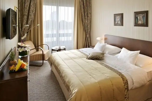 Standard Tek Büyük veya İki Ayrı Yataklı Oda, Şehir Manzaralı