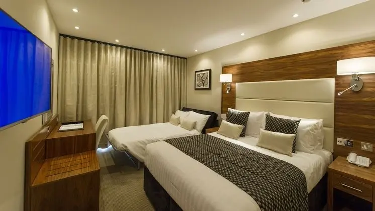 Executive Tek Büyük Yataklı Oda, 1 Çift Kişilik Yatak ve Çekyat