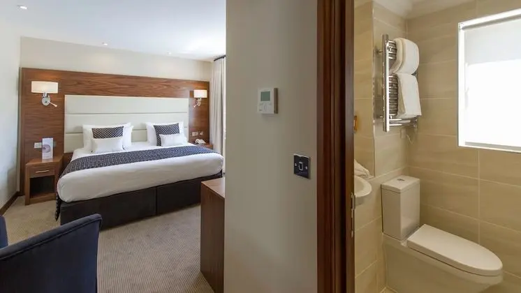 Executive Tek Büyük Yataklı Oda, 1 Çift Kişilik Yatak ve Çekyat