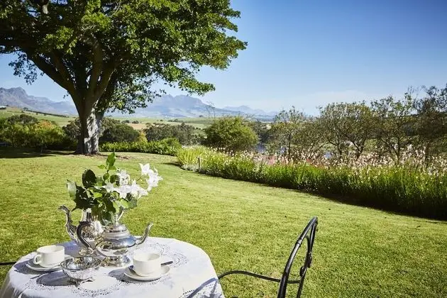 Luxury Oda (Vineyard)