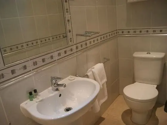 Basic Tek Büyük Yataklı Oda, Banyolu/Duşlu