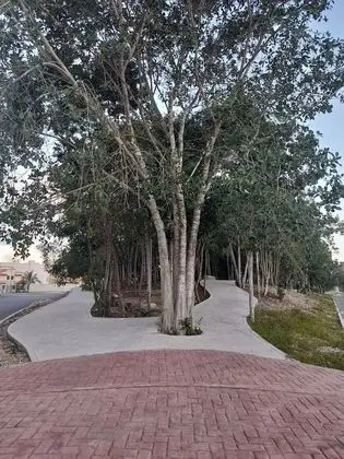 Daire, 2 Yatak Odası, Veranda