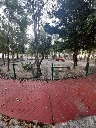 Daire, 2 Yatak Odası, Veranda