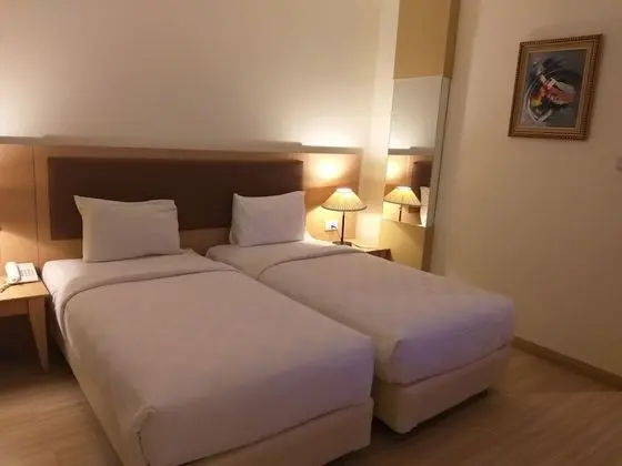 Deluxe İki Ayrı Yataklı Oda
