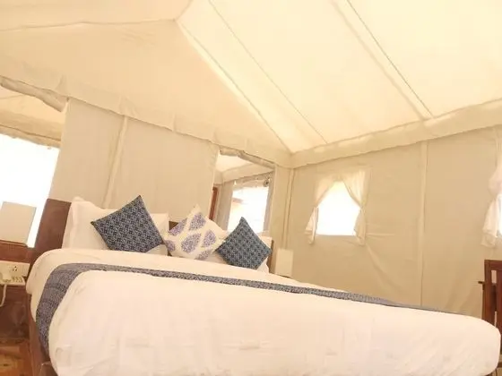 Luxury Çadır