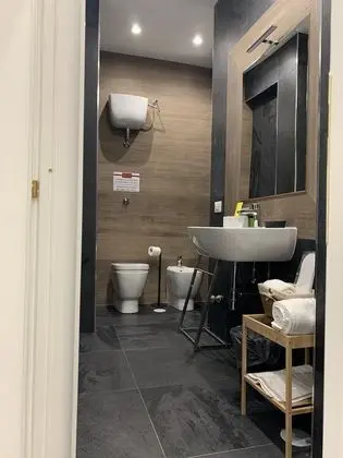 Royal Tek Büyük Yataklı Oda, Şehir Manzaralı